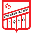 Ayvalikgucu logosu