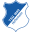 1899 Hoffenheim logosu
