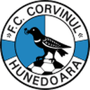 Corvinul Hunedoara logosu