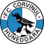 Corvinul Hunedoara logosu
