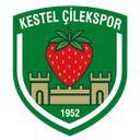 Kestel Çilek logosu