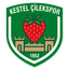 Kestel Çilek logosu