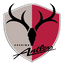 Kashima logosu