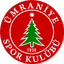 Ümraniyespor logosu