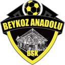 Beykoz Anadolu logosu