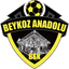 Beykoz Anadolu logosu