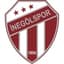 İnegölspor logosu