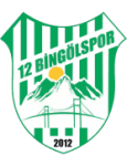 12 Bingölspor logosu