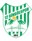 12 Bingölspor logosu