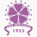 Güzide Gebzespor logosu