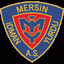 Yeni Mersin Idmanyurdu logosu